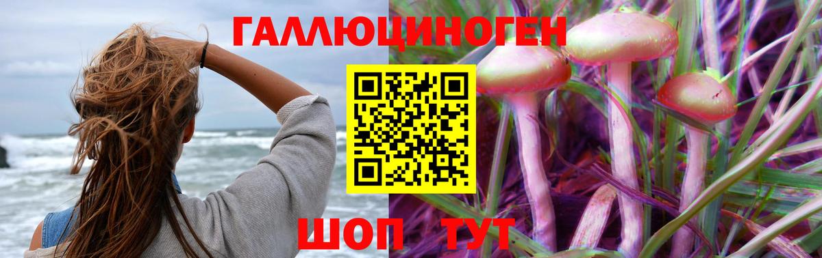 Псилоцибиновые грибы ЛСД Выборг