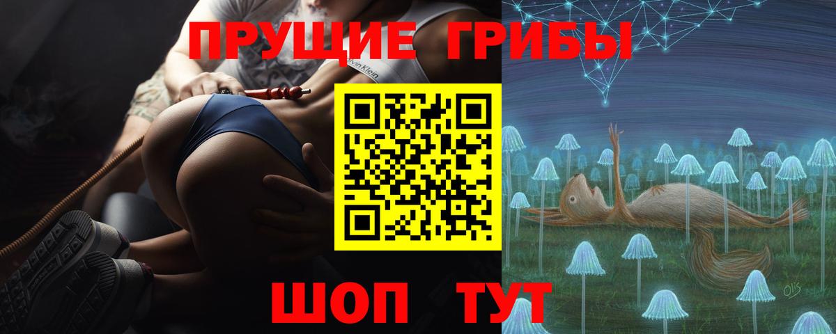Псилоцибиновые грибы мицелий  Вход с VPN  Выборг  Псилоцибиновые грибы прущие грибы 